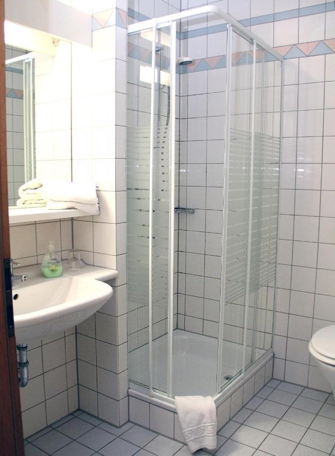 Hotel Zur Donau ディリンゲン・アン・デア・ドナウ エクステリア 写真